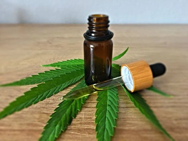 Le CBD bio est-il plus cher que le non-bio ?