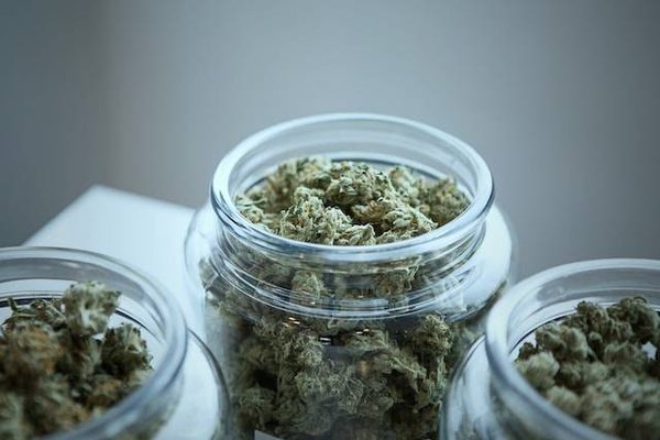 Quels sont les facteurs qui influencent le prix du CBD ?