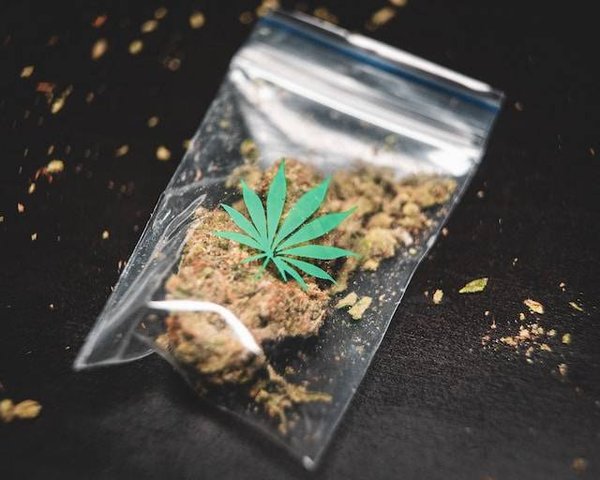 Comment conserver son CBD pour préserver ses propriétés ?