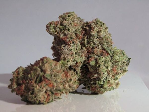 Comment conserver ses produits à base de CBD et à quel coût ?